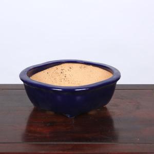 現代小鉢：井上良斎 長方鉢 15.0cm【現】*資材 : 遊恵盆栽 Yahoo!店