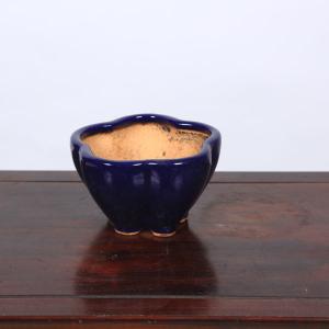 現代小鉢：昭山 足付モッコ鉢【現品】*shouzan 12.4cm : 遊恵盆栽