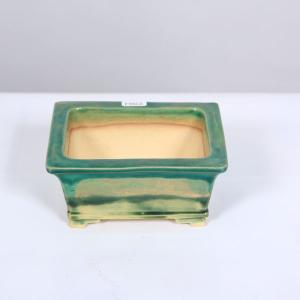 盆栽小鉢：真山（まざん）楕円鉢 13.7cm 【現品】 : 遊恵盆栽 Yahoo!店