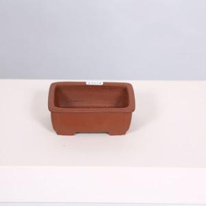 盆栽小鉢：春嘉（はるよし） 丸鉢13cm*現品 1品限り 資材 : 遊恵盆栽