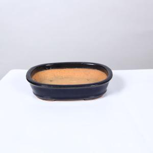 盆栽小鉢：美芸（常滑）六角鬼面足面付鉢 21.5cm*資材 : 遊恵盆栽