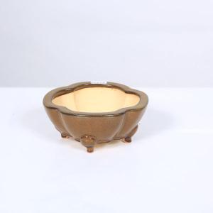 伊藤屯洋　 盆栽鉢 盆栽小鉢：伊藤屯洋(とんよう) 楕円鉢 13.2cm *現品もの 資材