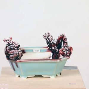 現代小鉢：屯洋　青磁辰砂龍刻長方鉢　16.0ｃｍ【現品】*tonyou