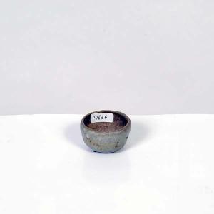 盆栽小鉢：美芸（常滑）六角鬼面足面付鉢 15.5cm*資材 : 遊恵盆栽