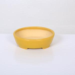 盆栽小鉢：美芸（常滑）丸変り裏鬼面鉢 5.0cm*資材 : 遊恵盆栽 Yahoo