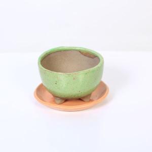 盆栽小鉢：美芸（常滑）六角鬼面足面付鉢 15.5cm*資材 : 遊恵盆栽