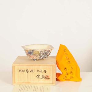 現代小鉢:俊泉 六角鉢『色絵菊透し六角鉢』【現...の詳細画像1