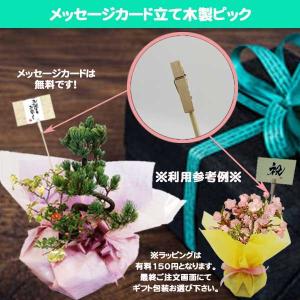 メッセージカード立て用　木製ピック