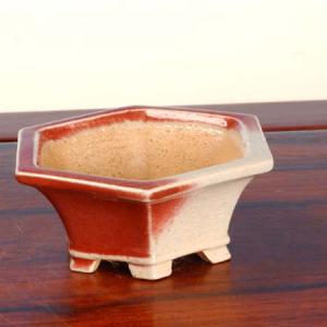 現代小鉢：柴勝 長方鉢 10.0cm【現】 : 遊恵盆栽 Yahoo!店 - 通販