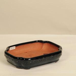 盆栽小鉢：伊藤屯洋(とんよう) 楕円鉢 13.2cm *現品もの 資材 : 遊恵