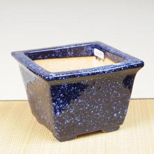 現代小鉢：鴻陽 縁付き丸鉢 9.1cm【現】*資材 : 遊恵盆栽 Yahoo!店
