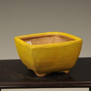 現代小鉢：月香 長方鉢 16.0cm【現】 : 遊恵盆栽 Yahoo!店 - 通販