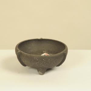 盆栽小鉢：平安虹泉　(丸鉢　7.4cm)*　資材｜y-bonsai