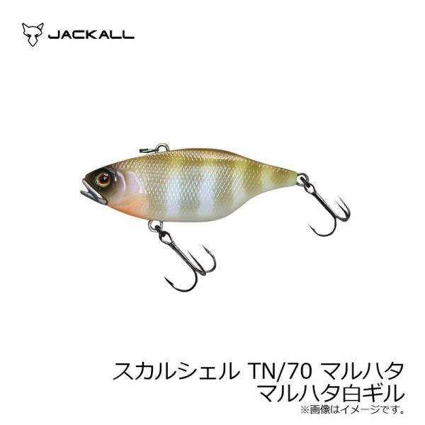 ジャッカル　スカルシェル TN/70 マルハタサウンド マルハタ白ギル