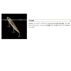 エバーグリーン コンバットペンシル ジャスティ...の詳細画像4