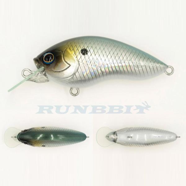 グラスルーツ　ランビット #024 ギザードシャッドH