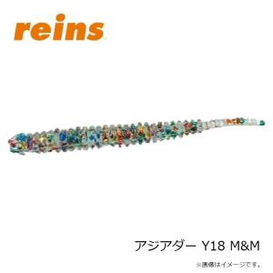 レイン アジアダー Y18 M&Mの詳細画像2