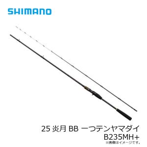 シマノ 25 炎月BB 一つテンヤマダイ B2...の詳細画像5