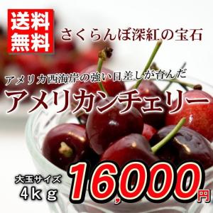送料無料 アメリカンチェリー アメリカ産 さくらんぼ 秀品 ...