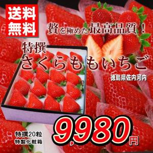 フルーツ いちご 品種 さくらももいちご フルーツ 食品 通販 Yahoo ショッピング
