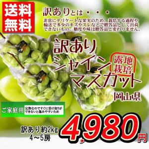 ぶどう 訳あり 送料無料 シャインマスカット  岡山県産 2kg 露地栽培 家庭用 おためし