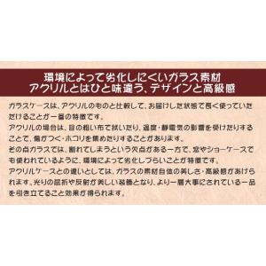 人形ケース ガラスケース 組み立て式 コンパク...の詳細画像2