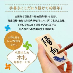 五月人形 兜 コンパクト おしゃれ 透彩兜フレ...の詳細画像5