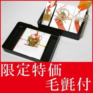 大阪長生堂 期間限定特価商品 略式 結納品 結納金 メインの結納品 輝
