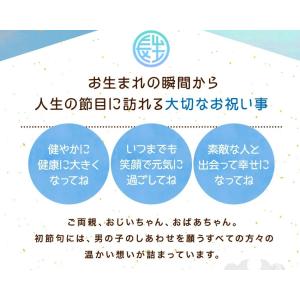 【特別ご奉仕品20%OFF】 鯉のぼり こいの...の詳細画像3
