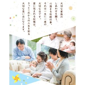 【特別ご奉仕品20%OFF】 鯉のぼり こいの...の詳細画像5