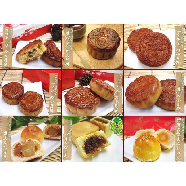 9種10個の月餅セット 送料無料 ココナッツ 蓮の大月餅 蛋黄酥 鳳梨酥もセット