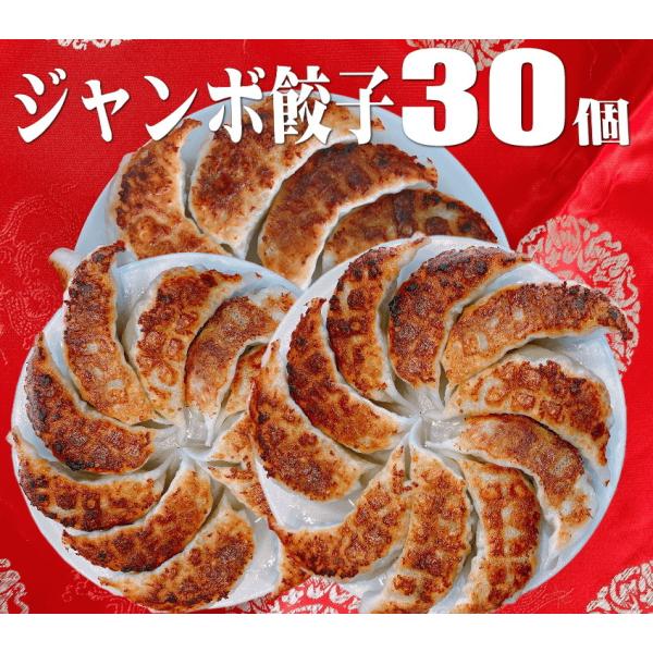 ジャンボ餃子 30個 国産豚 国産野菜 1.2キロ 送料無料