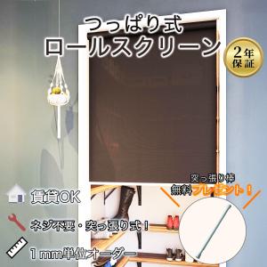 立川ロールスクリーン天井付けタイプ 幅70cm高さ240cm 立川機工 ロールスクリーン 洗える 幅170cm 高さ180cm 天井付け 正面