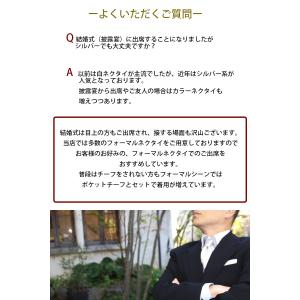 ネクタイ 結婚式 西陣織 高級 シルク おしゃ...の詳細画像4