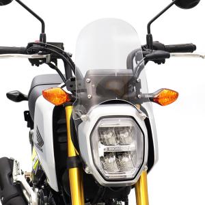 スペシャルパーツ武川 【1月27日出荷】武川 メーターバイザーキット