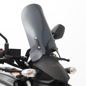 KIJIMA キジマ スクリーン メーターバイザー GSX-S125 SUZUKI