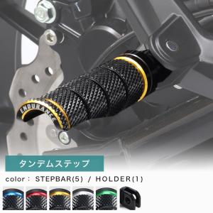 ENDURANCE（エンデュランス） スーパーカブ110 プロ JA10 50プロ AA04