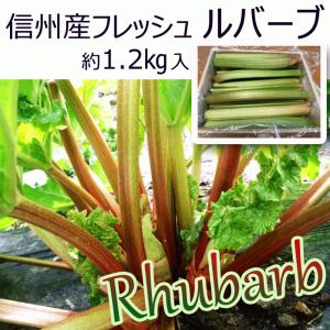 ルバーブ フレッシュルバーブ 約1.2kg 爽やかな酸味 ジャムやお菓子作りに 信州 長野県産｜y-fresh