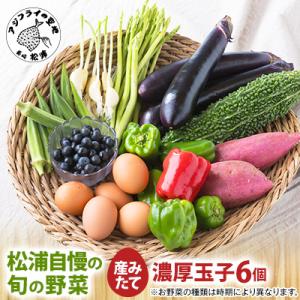 ふるさと納税 松浦市 道の駅松浦海のふるさと館「旬のお野菜+産みたて濃厚玉子6個」の大満足セット!
