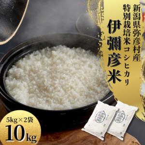 ふるさと納税 弥彦村 令和7年産特別栽培米コシヒカリ 伊彌彦米 10kg(5kg×2袋)新潟県産 精...