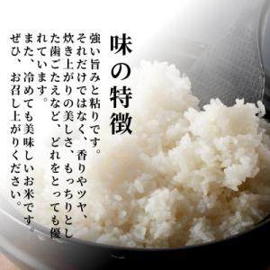 ふるさと納税 弥彦村 令和7年 特別栽培米コシ...の詳細画像2