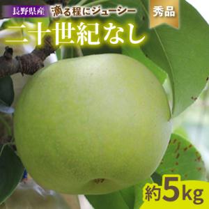 ふるさと納税 飯田市 滴る程にジューシー 長野県産　梨(二十世紀) 約5キロ 秀品〈2026年9月上旬〜9月下旬発送〉