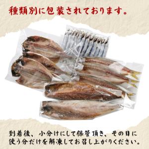 ふるさと納税 真鶴町 魚伝特製干物セット詰め合...の詳細画像1