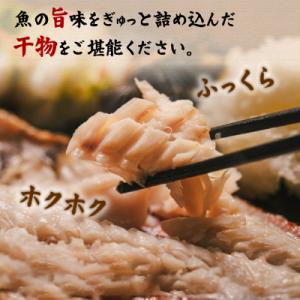 ふるさと納税 真鶴町 魚伝特製干物セット詰め合...の詳細画像2