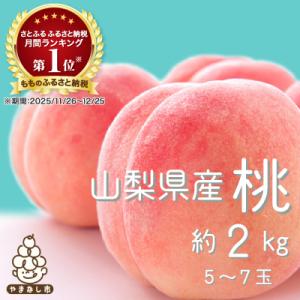 ふるさと納税 山梨市 【2026年発送】山梨旬の桃 約2kg(5〜7玉)