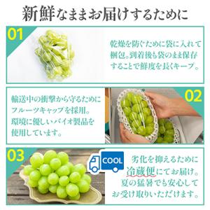 ふるさと納税 山梨市 【2026年発送 】シャ...の詳細画像2