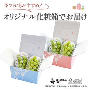 ふるさと納税 山梨市 【2026年発送 】シャ...の詳細画像3