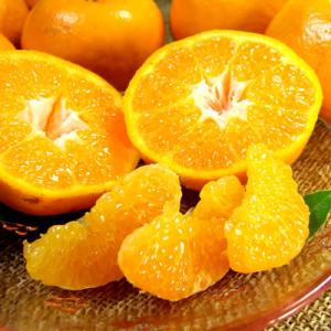 ふるさと納税 湯浅町 はるみ[約4kg]和歌山県有田産春みかん(果実サイズおまかせ)