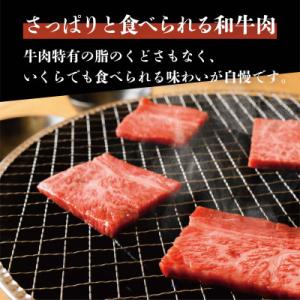 ふるさと納税 雲南市 奥出雲和牛肩ロース焼肉用...の詳細画像1