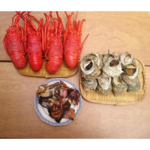 ふるさと納税 下田市 【伊豆の恵み4品(3種)　Eセット】ボイルサザエ・味噌汁用カット伊勢海老・蒸し...